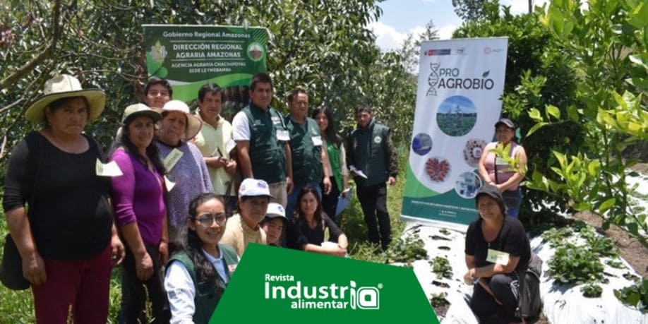 Transfieren tecnologías para mejorar calidad de leguminosas y frutales en Amazonas